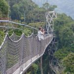 Top attractions at Nyungwe forest National Park- Rwanda safaris