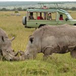 Best spots for rhinos on Kenya wildlife safaris