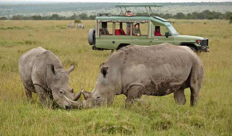 Best spots for rhinos on Kenya wildlife safaris