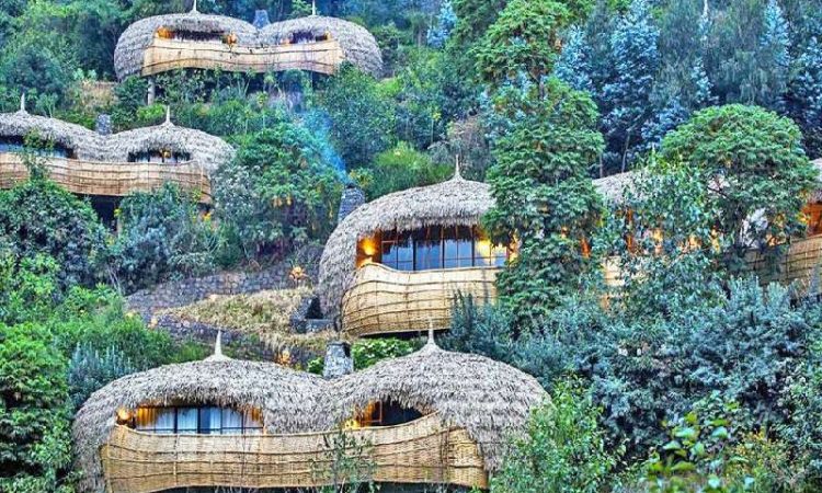 Top luxurious lodges at Volcanoes National Park Rwanda