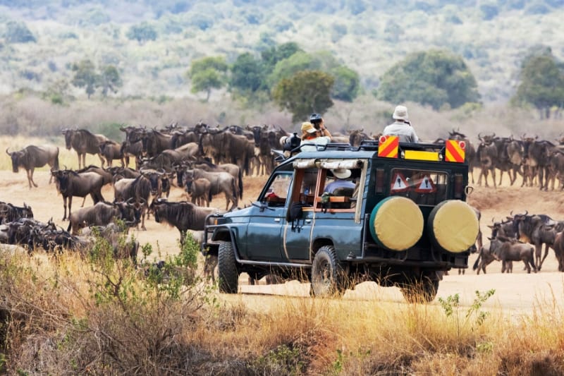 Top destinations for wildlife safaris in Kenya