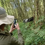 Top things to do on your summer to Uganda 2026