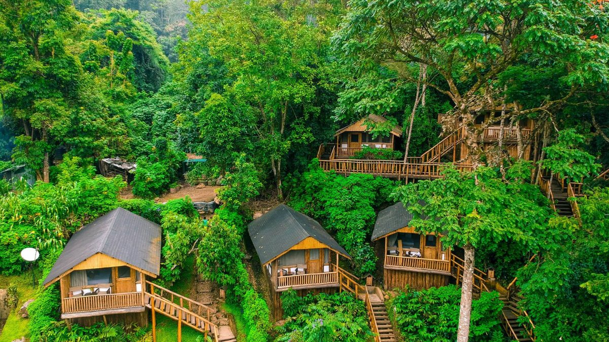 Top luxury lodges at Bwindi Impenetrable Forest National Park