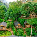 Top luxury lodges at Bwindi Impenetrable Forest National Park