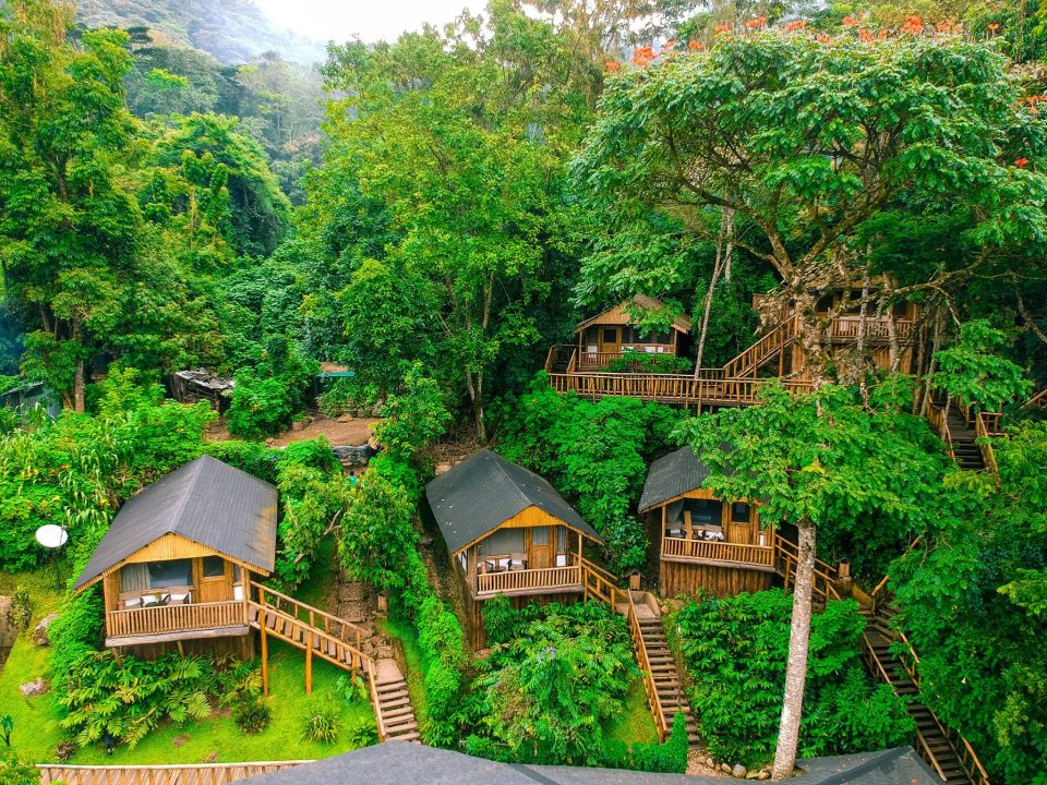 Top luxury lodges at Bwindi Impenetrable Forest National Park