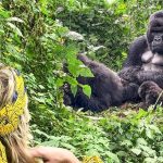 Best places for primate safaris in Uganda