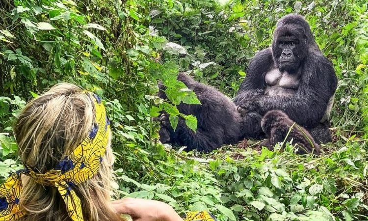 Best places for primate safaris in Uganda