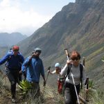Best hiking and trekking trails at Rwenzori Mountains