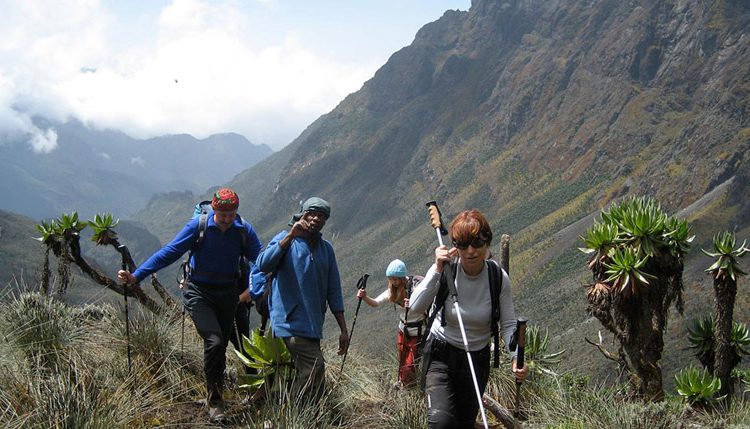 Best hiking and trekking trails at Rwenzori Mountains
