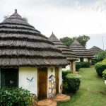 Best Budget lodges at Queen Elizabeth National Park