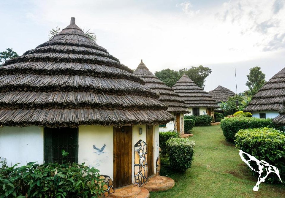 Best Budget lodges at Queen Elizabeth National Park