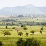 Top attractions at Kidepo valley National Park