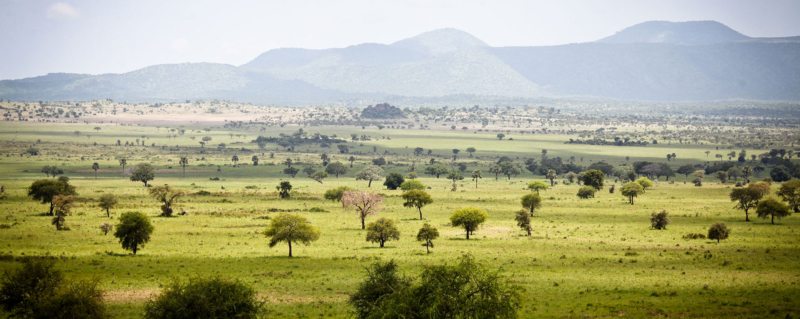 Top attractions at Kidepo valley National Park