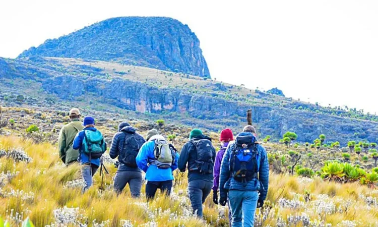 Top adventures to do at Mountain Elgon National Park
